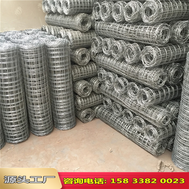 河南礦用經(jīng)緯編織網(wǎng)