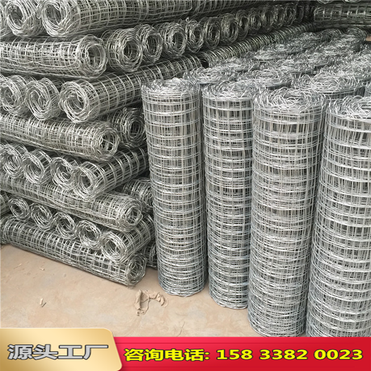 太原礦用經緯編織網圖片2